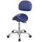 Guardian Saddle Stool with Backrest