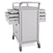 Viva Medication Cart – Double Drawer